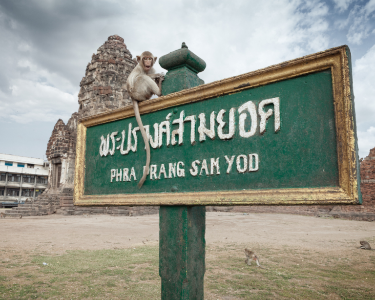 Lopburi e Macachi, Thailandia