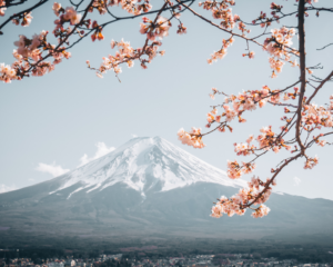 Vista del Monte Fuji da Fujiyama, Giappone