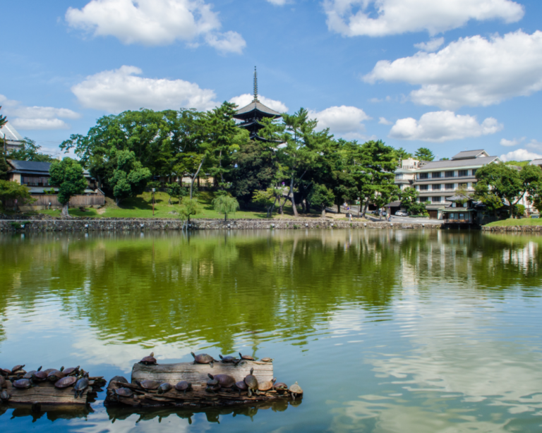 LAGO A NARA, GIAPPONE
