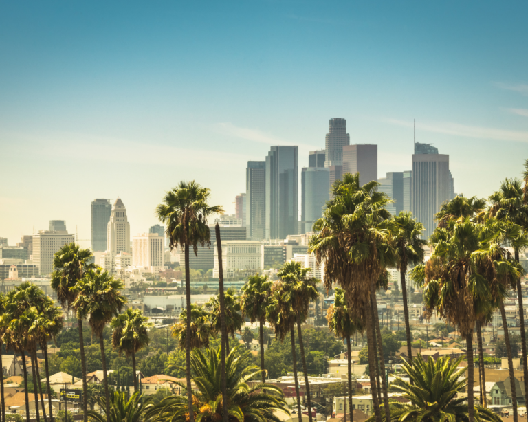 LOS ANGELES VIEWPOINT
