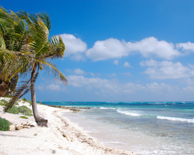 Wild beach in Playa del Carmen, Quintana Roo, Mexico