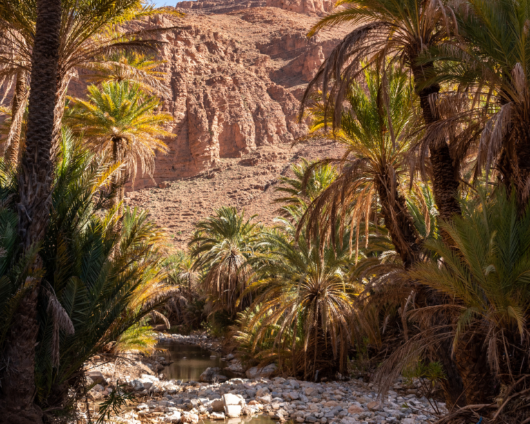 atlas mountains in morocco