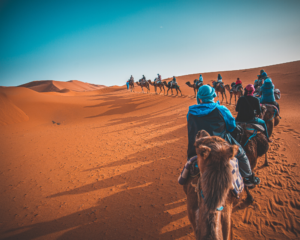camel ride in the sahara desert in morocco