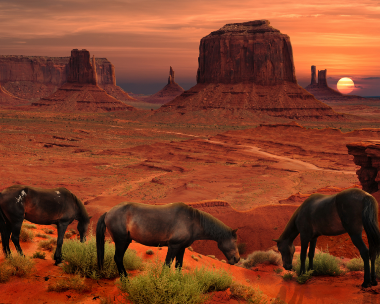 wild horses in monument valley reservoir