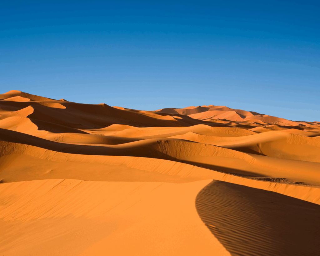 erg chebbi desert