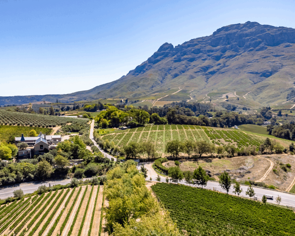 STELLENBOSCH