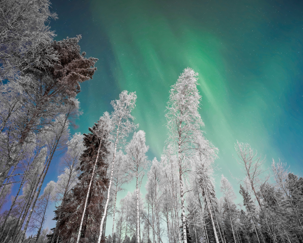 aurora boreale lapponia